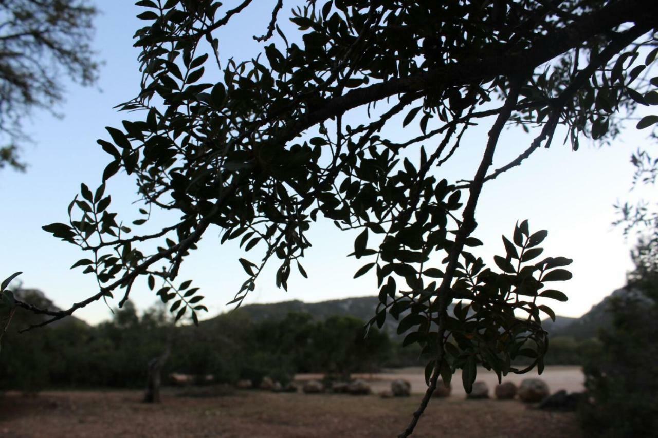 Su Campanile Ξενοδοχείο Baunei Εξωτερικό φωτογραφία